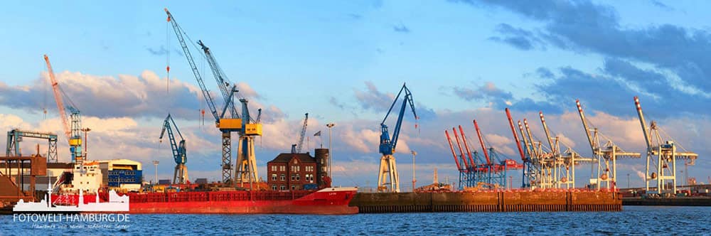 Hamburger Hafen Bild auf Leinwand - Hafenpanorama am Fischmarkt