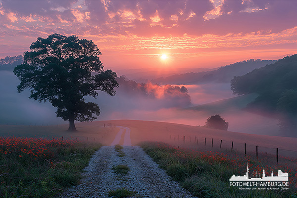 Traumhafter Morgen - modernes Wandbild im Stil einer Fotografie als Kunstdruck auf Leinwand, Acrylglas oder als Poster
