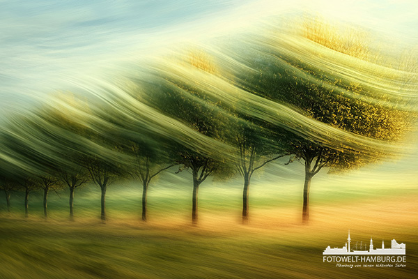 Windiges Feld - modernes Wandbild im Stil eines Gemäldes als Kunstdruck auf Leinwand, Acrylglas oder als Poster