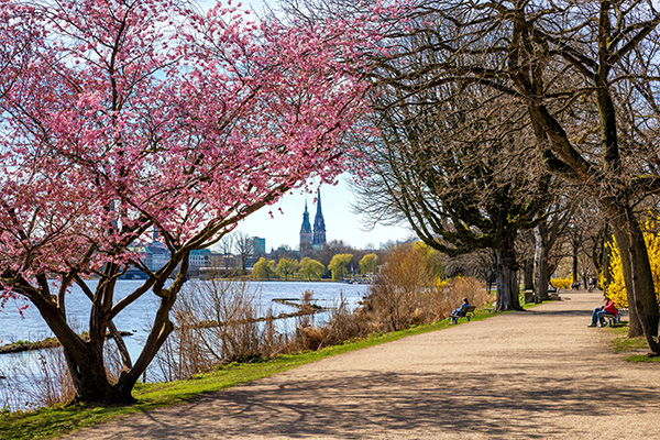 Frühling an der Aussenalster - Hamburgbild auf Leinwand, Acrylglas oder als Poster