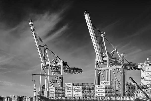 Hafenkräne und Fernsehturm - Hamburg in schwarzweiß Bild auf Leinwand, Acrylglas oder als Poster