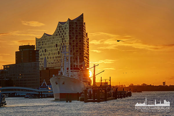 Sonnenaufgang hinter der Elbphilharmonie - Hamburg Bild auf Leinwand 