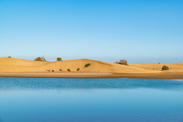 La Charca de Maspalomas Gran Canaria Wandbild - Bild auf Leinwand, Acrylglas oder Alu-Dibond